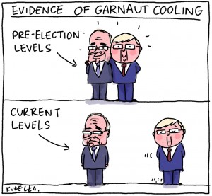 The Australian cartoon 5 july 2008